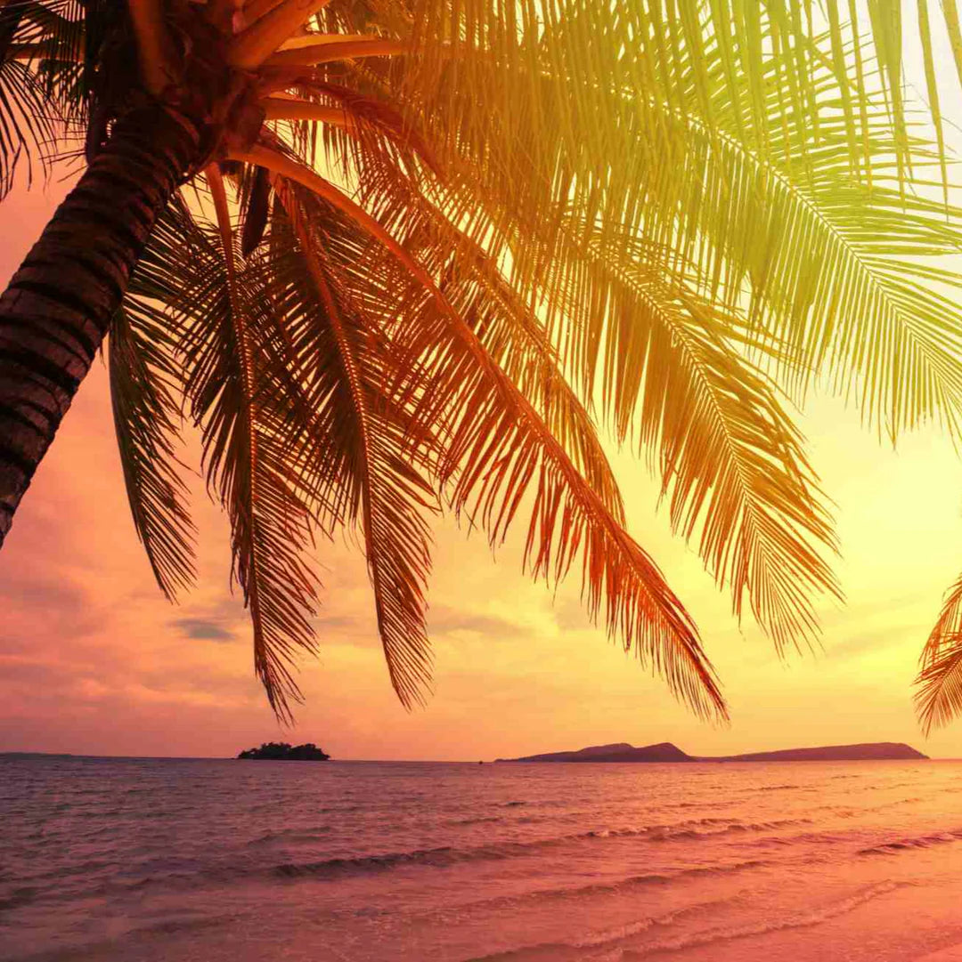 Maldives Sunset