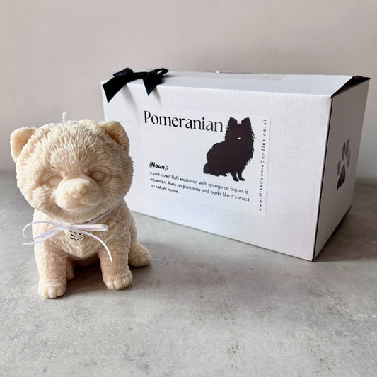 Pomeranian Puppy Dog Candle