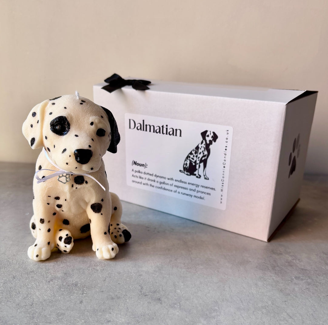 Dalmatian Puppy Dog Candle