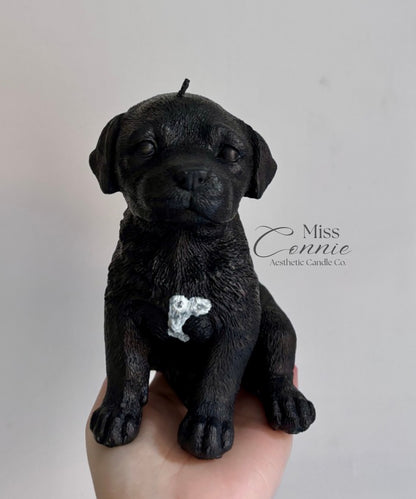 Springador Puppy Dog Candle