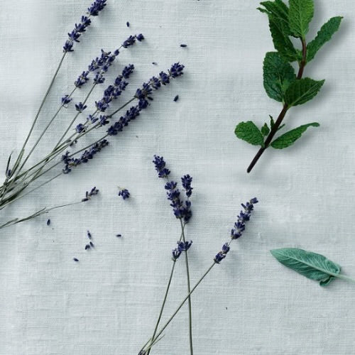 Lemon & Lavender