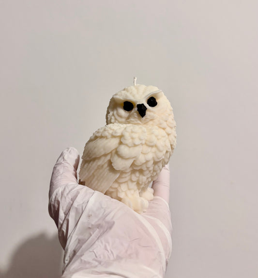 Owl Candle