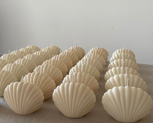 Sea Shell Candle - Small - Wholesale