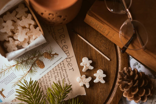 Christmas Wax Melt Box