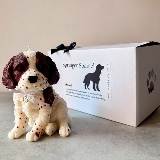 Springer Spaniel Puppy Dog Candle
