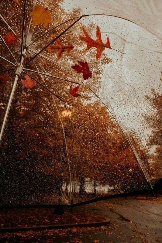 Autumn Days