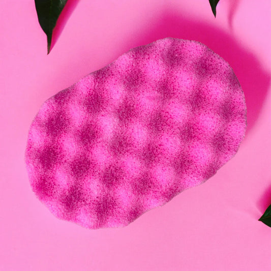 Winter Fairy Soap Sponge
