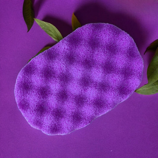 Alien Invasion Soap Sponge