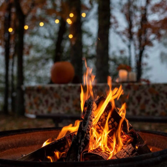 Crackling Log Fire